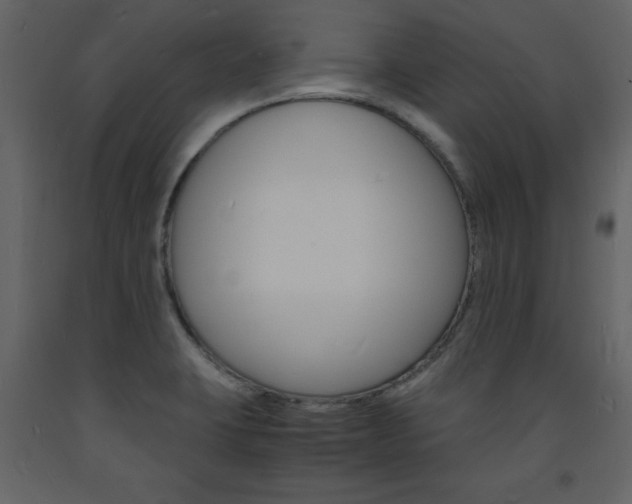 X0000094061423200710190922