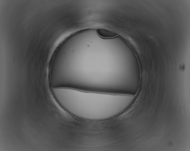 X0000094061424200710190922