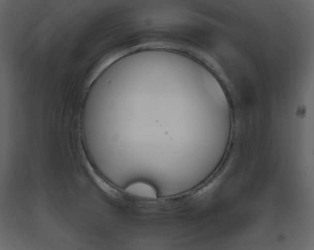 X0000094061425200710190922