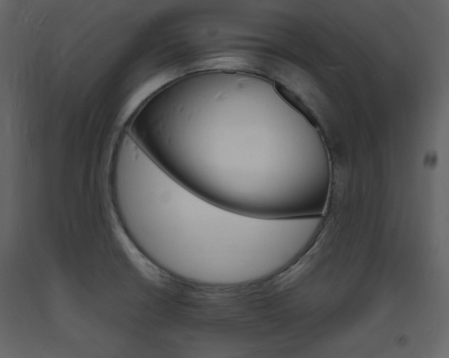 X0000094061426200710190922