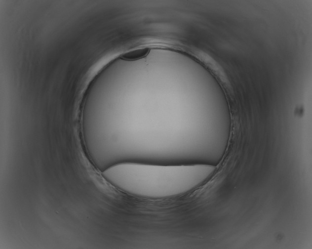 X0000094061427200710190922
