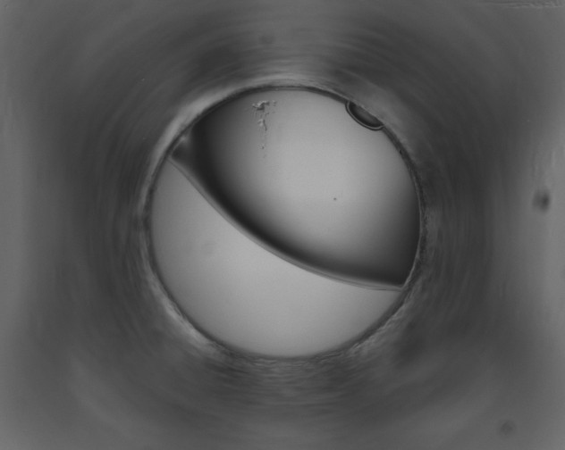 X0000094061428200710190922