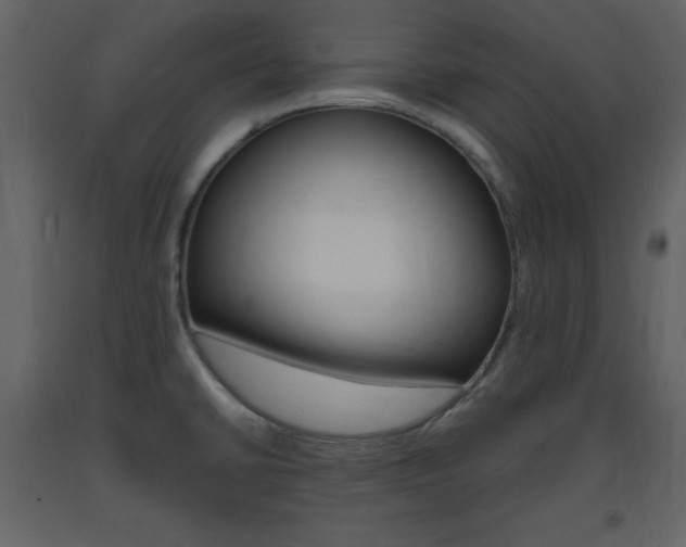 X0000094061430200710190922