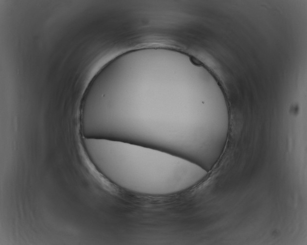 X0000094061431200710190922
