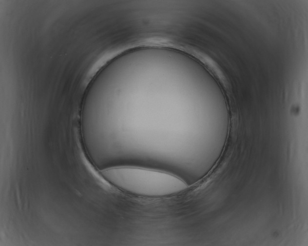 X0000094061432200710190922