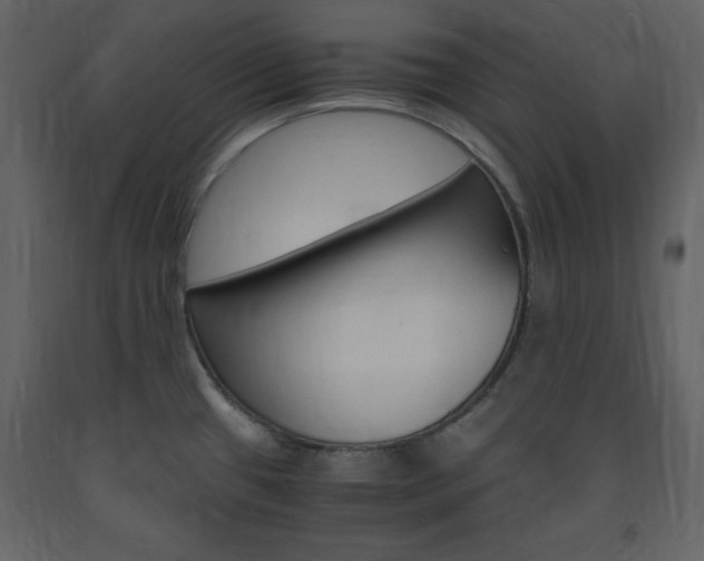 X0000094061433200710190922