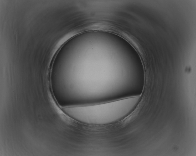 X0000094061434200710190922