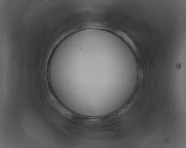 X0000094061435200710190922