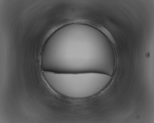 X0000094061436200710190922