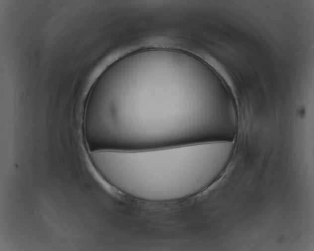 X0000094061437200710190922