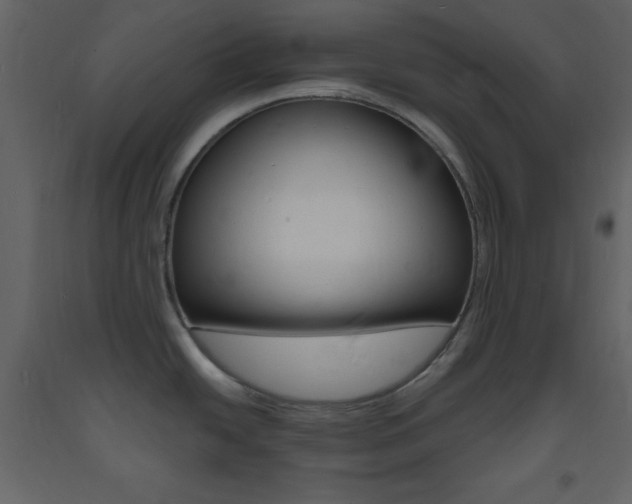 X0000094061438200710190922