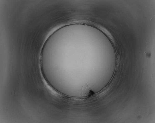 X0000094061439200710190922