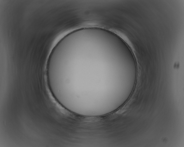 X0000094061440200710190922