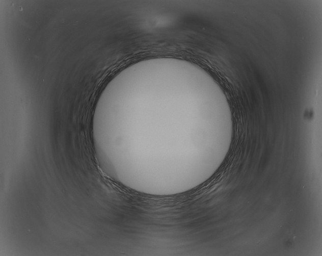 X0000094061441200710190921