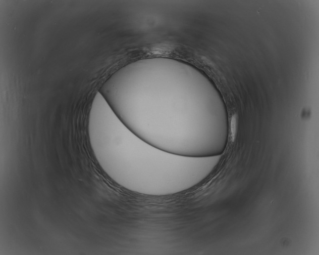 X0000094061443200710190921