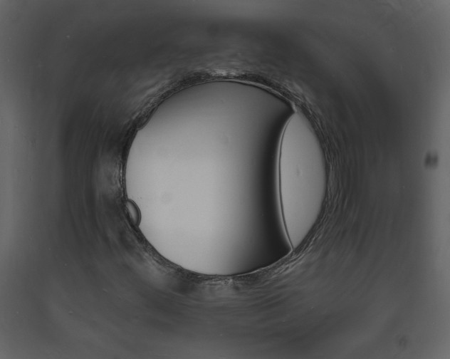 X0000094061444200710190921