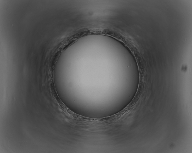 X0000094061445200710190921