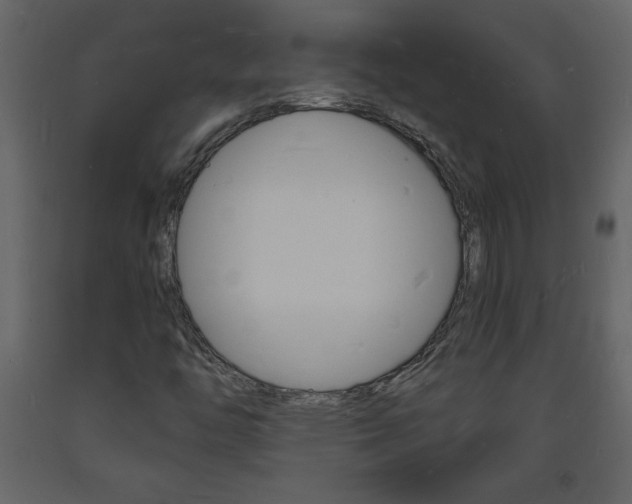 X0000094061446200710190921