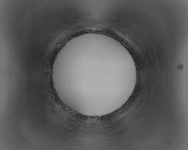 X0000094061447200710190921