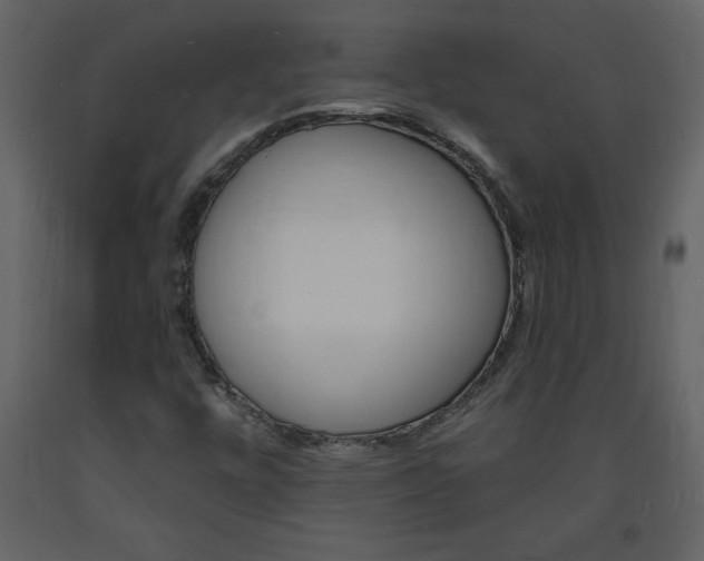 X0000094061448200710190921