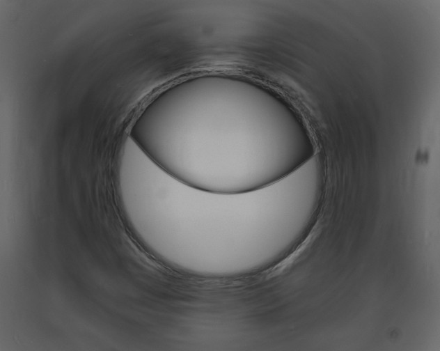 X0000094061449200710190921