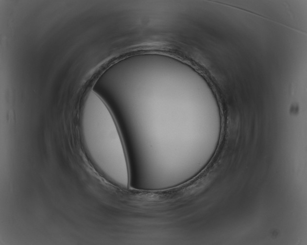 X0000094061450200710190921