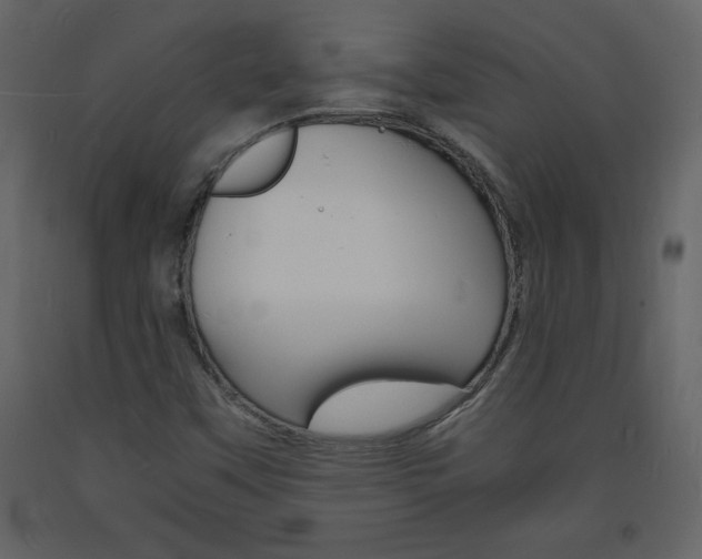 X0000094061451200710190921