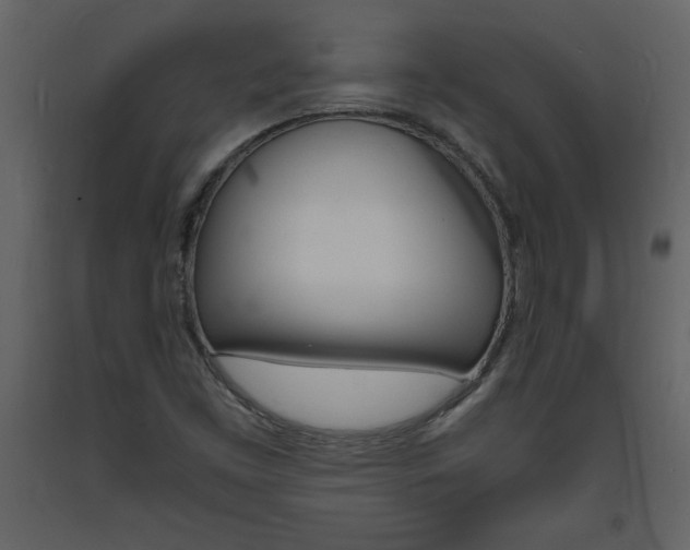 X0000094061453200710190921
