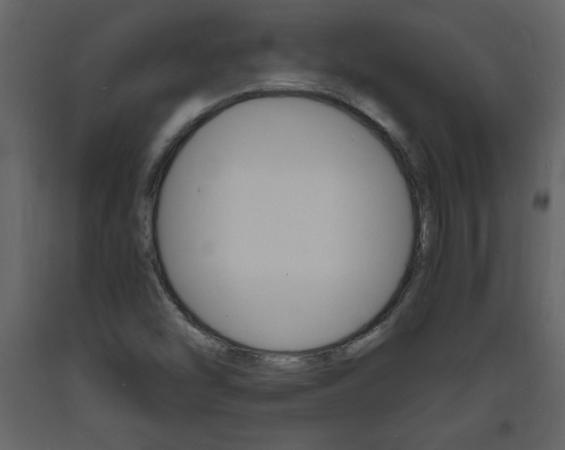X0000094061454200710190921