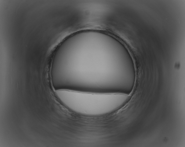 X0000094061455200710190921