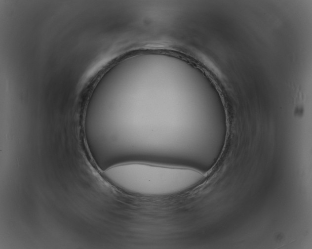 X0000094061456200710190921