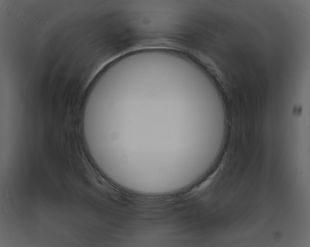 X0000094061457200710190921
