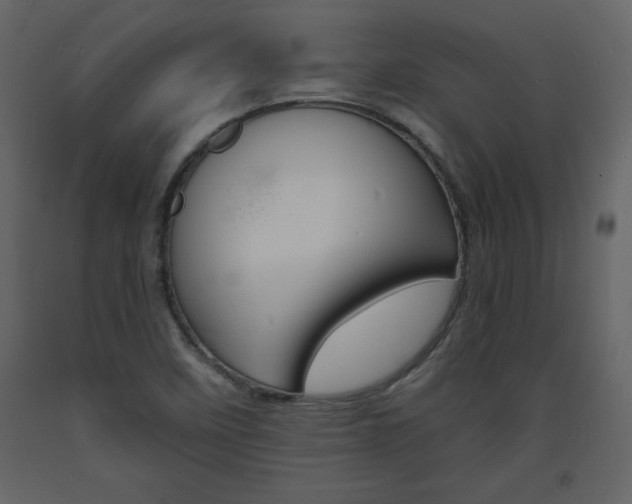 X0000094061458200710190921