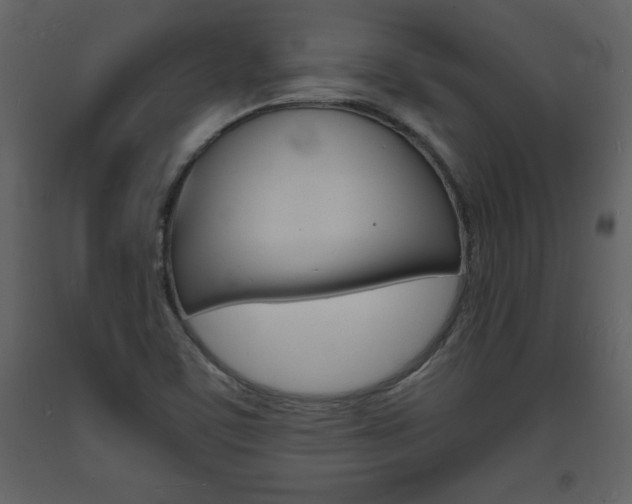 X0000094061459200710190921