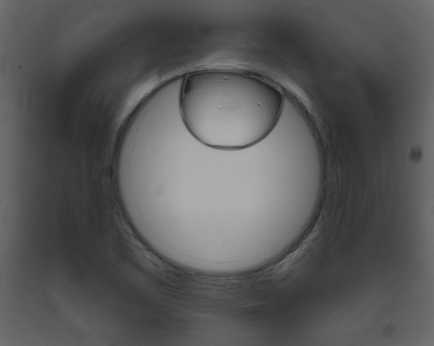 X0000094061461200710190921