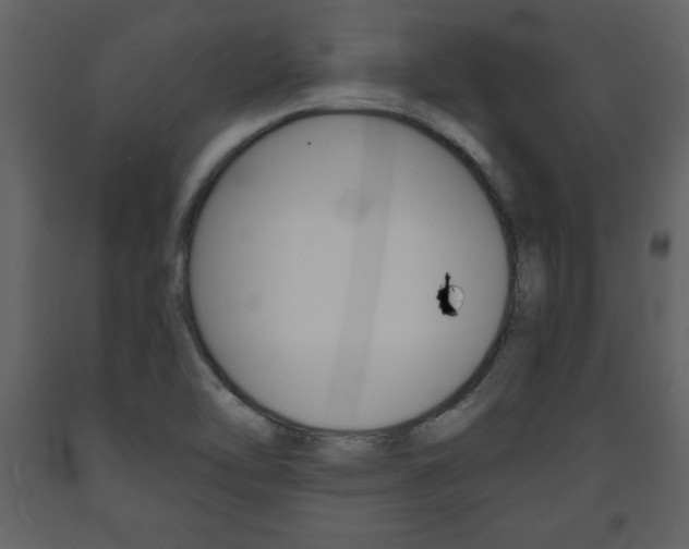 X0000094061462200710190921