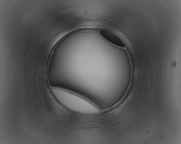 X0000094061465200710190921