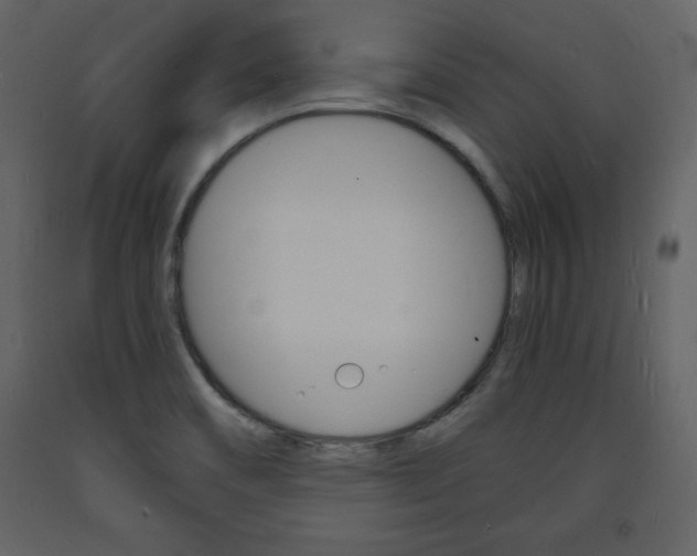 X0000094061466200710190921