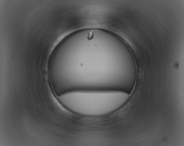 X0000094061468200710190921
