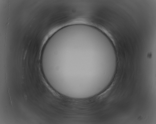 X0000094061469200710190921