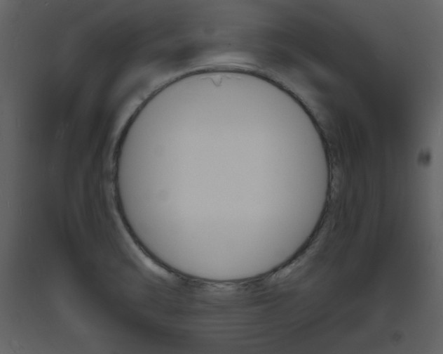 X0000094061470200710190921