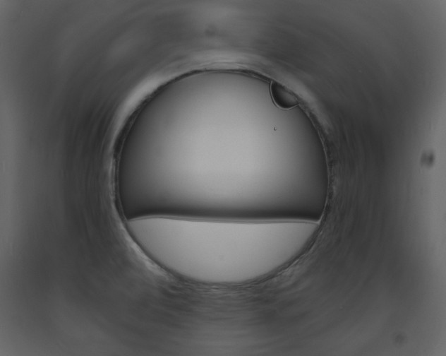 X0000094061472200710190921