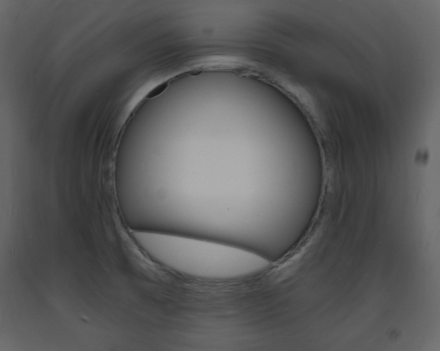 X0000094061473200710190921