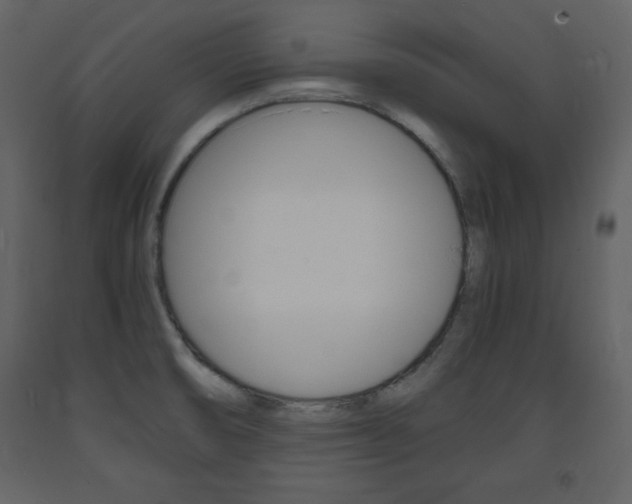 X0000094061474200710190921