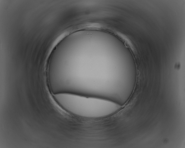 X0000094061475200710190921