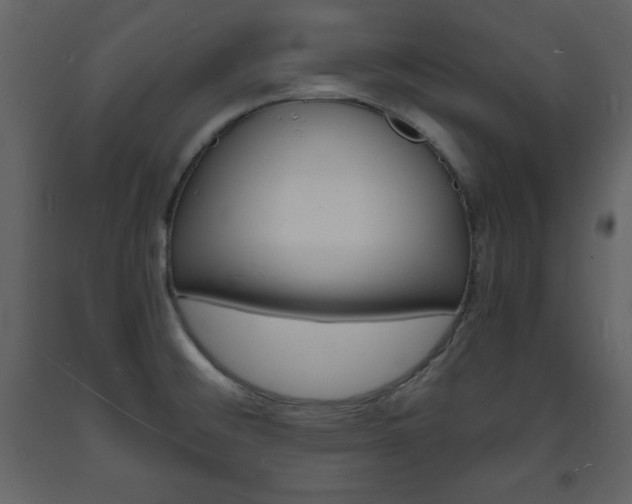 X0000094061476200710190921