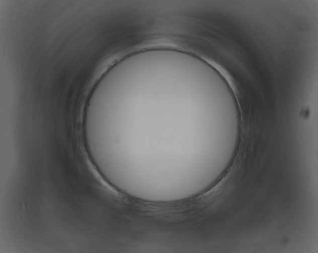 X0000094061477200710190921