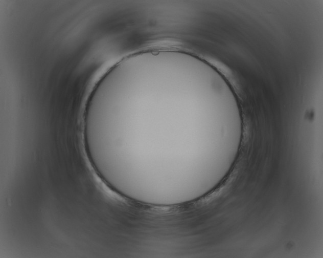 X0000094061478200710190921