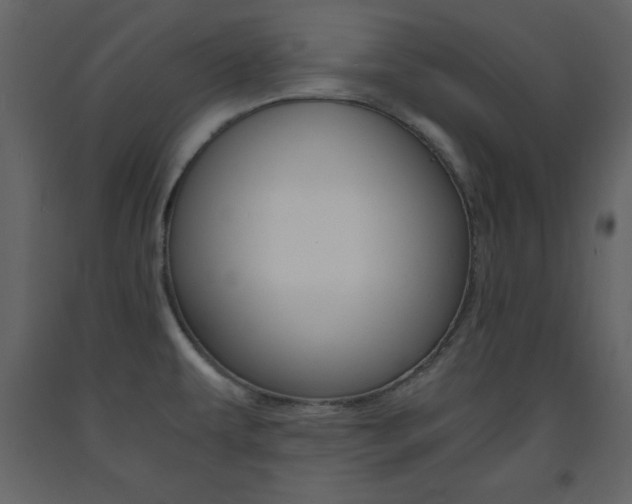 X0000094061479200710190921