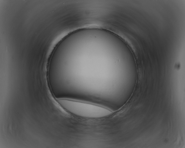 X0000094061480200710190921